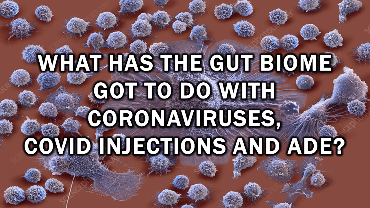 Featured-22 - The Expose