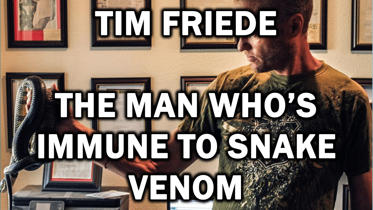 Featured - The Expose