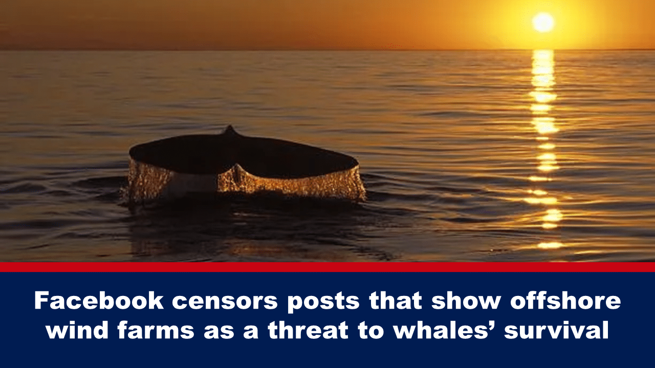 FeatAug21b - The Expose