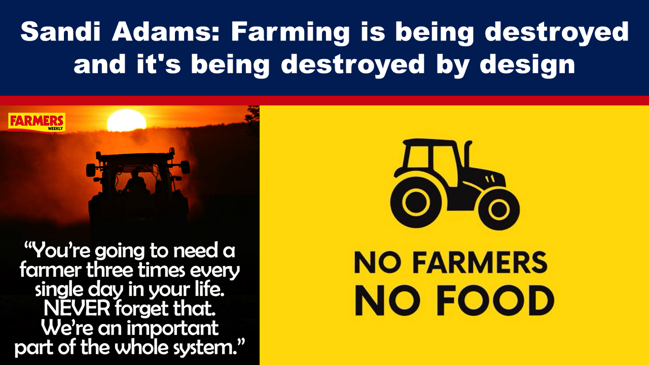 FeatFeb14 - The Expose