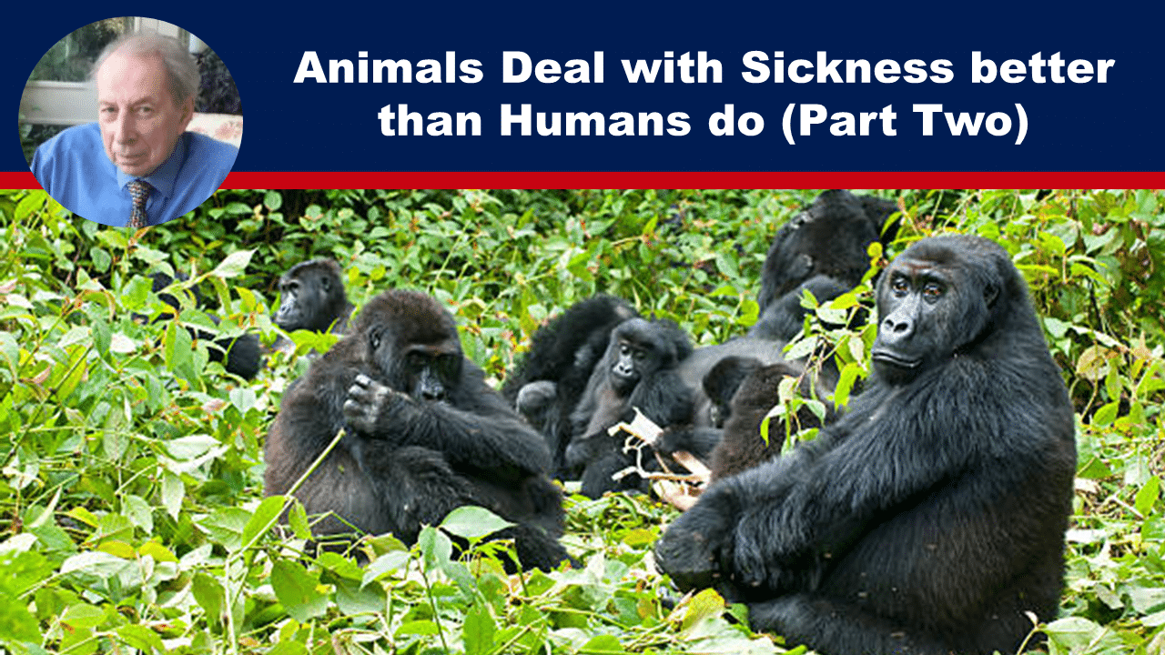 FeatMay29b - The Expose