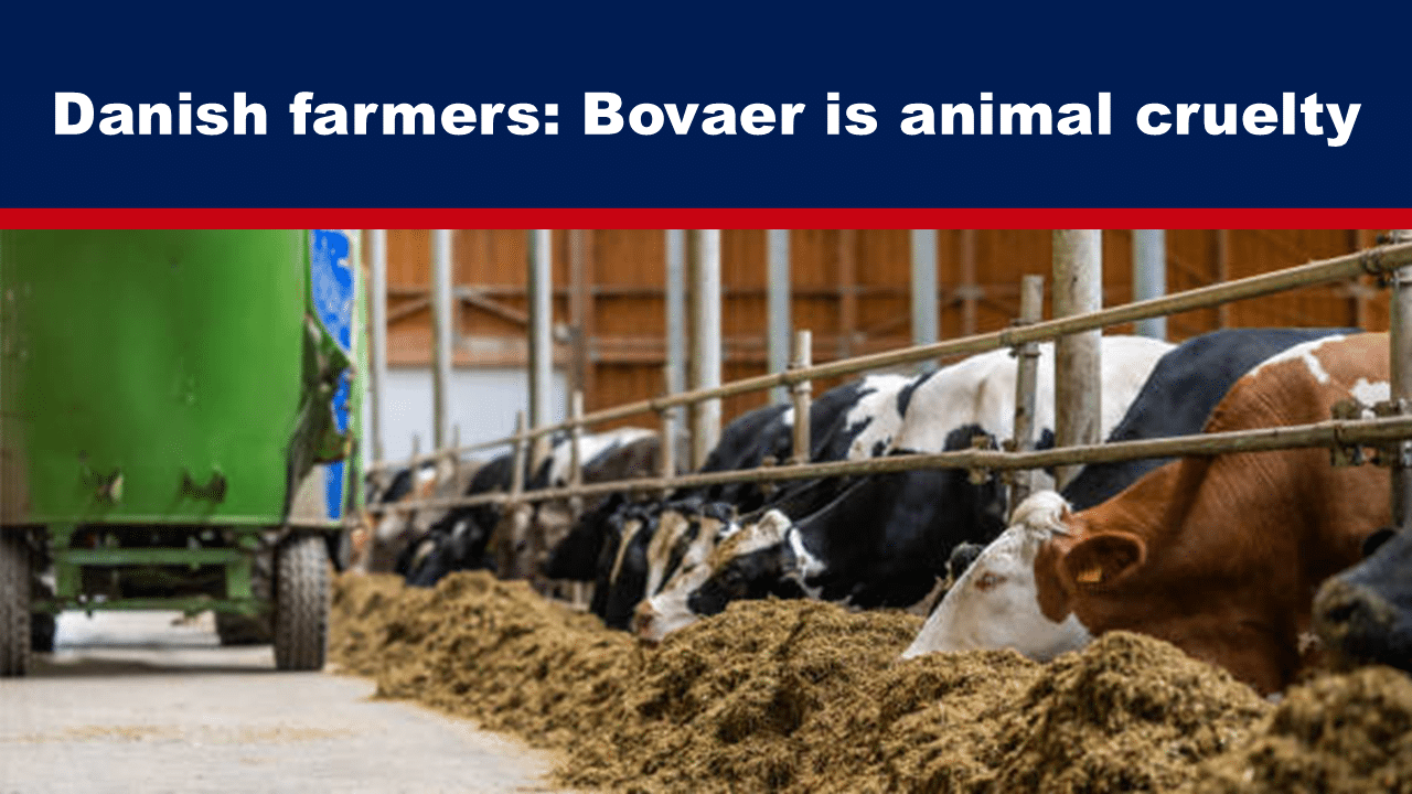 FtApr14b - The Expose