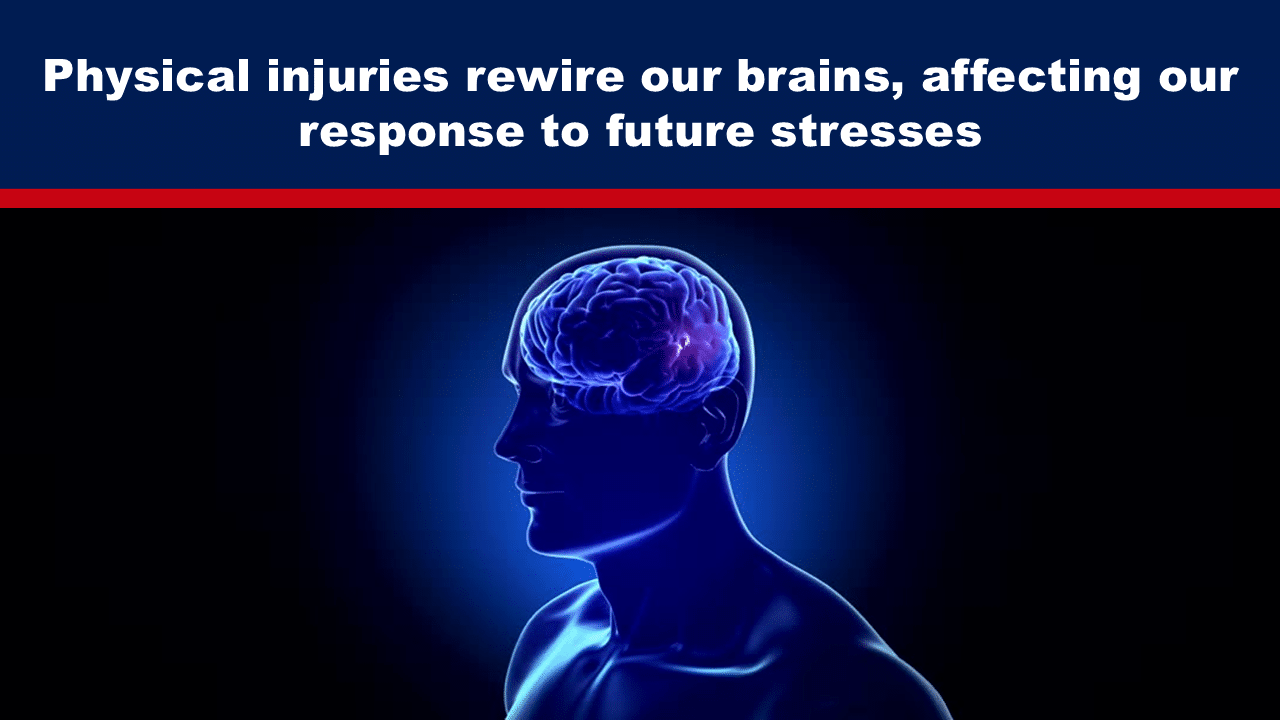 Expose News: Brain diagram highlights how physical injuries rewire our brains, influencing our stress response. Discover the surprising connection!