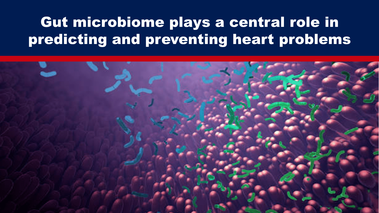 Expose News: Gut microbiome: the unsung hero in predicting and preventing heart problems! Discover its central role in keeping your heart healthy.