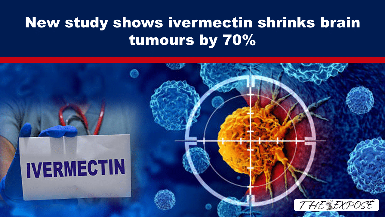 Expose News: New study claims ivermectin reduces brain tumors by 70%! Eye-catching medical discovery sparks excitement in healthcare world.