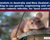 Expose News: Scientists in Australia and New Zealand try using genetic engineering and viruses to make rodents infertile for pest control.