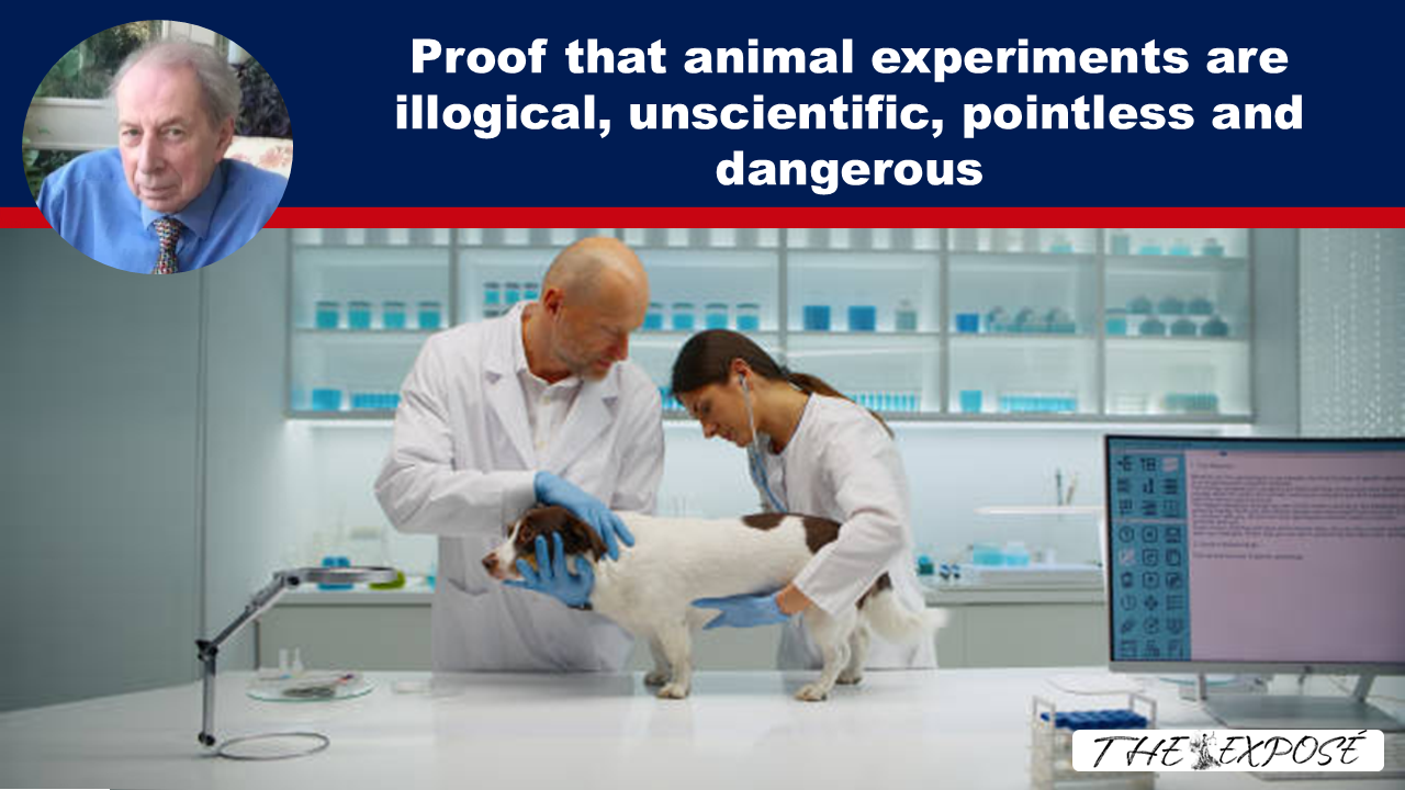 - The Expose Expose News: SHOCK REPORT: Is this the final straw? New Evidence exposes that animal experiments are illogical, unscientific, pointless and dangerous! The truth uncovered now!