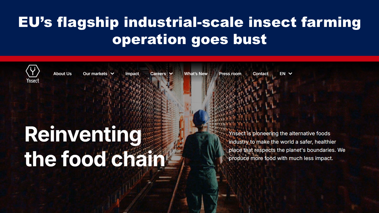 - The Expose Expose News: Oh, dear! EU's big insect farm, YNSECT, has gone belly up! Is this the end for industrial-scale insect farming?