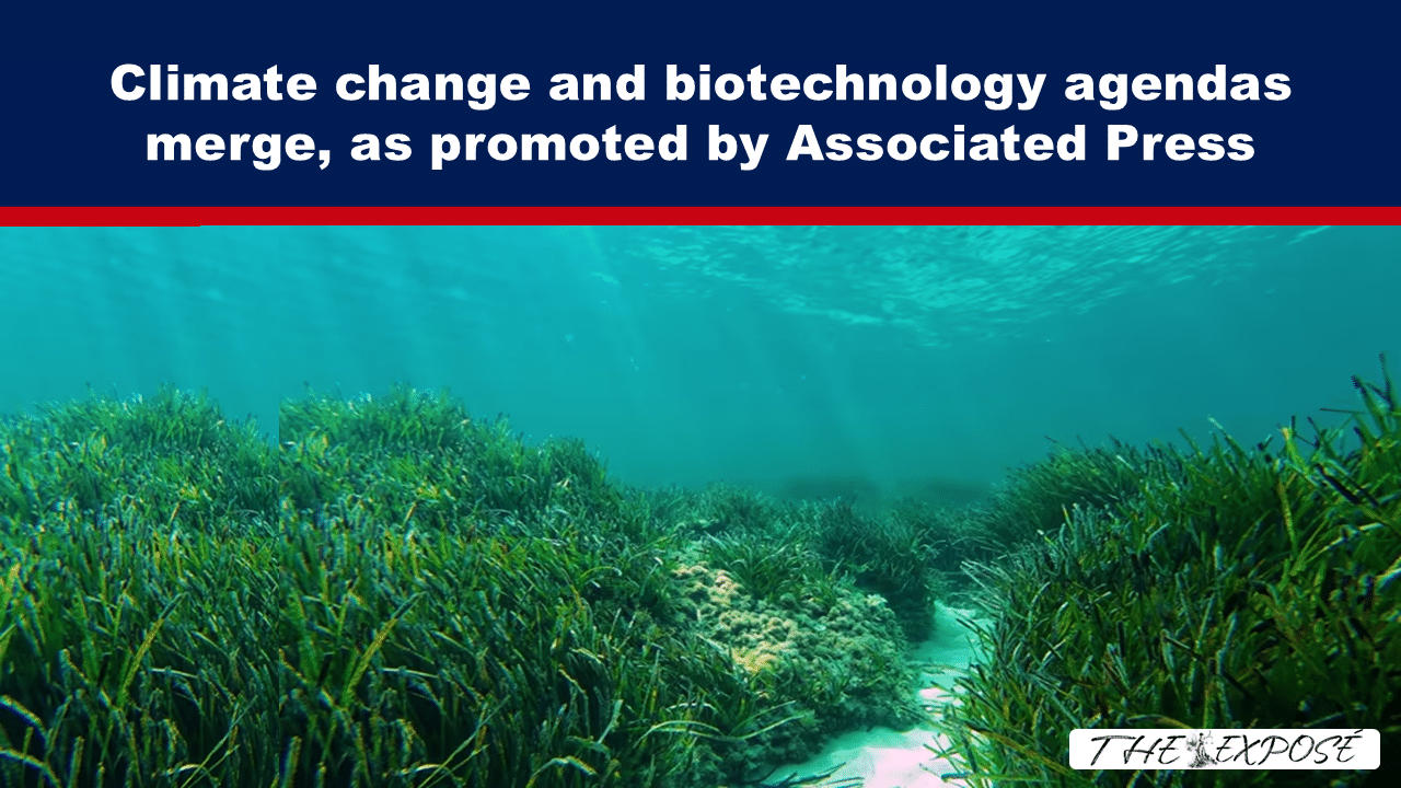 Headline banner: 'Climate change and biotechnology agendas merge, as promoted by Associated Press' over an underwater seagrass scene; watermark 'THE EXPOSÉ' bottom right.