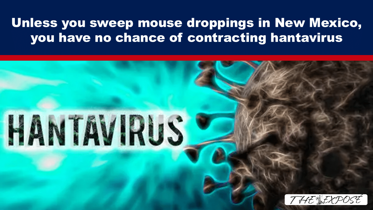 Banner-style image with the headline about cleaning mouse droppings in New Mexico to prevent hantavirus; turquoise virus graphic on the left and a The Exposé watermark on the bottom right.