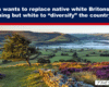 Defra wants to replace native white Britons with anything but white to 'diversify' the countryside — rural landscape with a lone tree and stone wall.