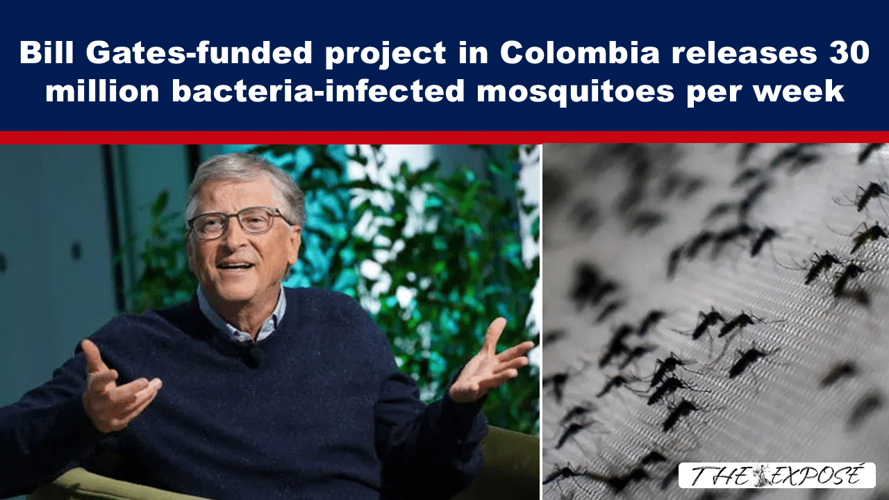 - The Expose News banner claiming a Gates-funded project in Colombia releases 30 million bacteria-infected mosquitoes per week; left shows Bill Gates speaking, right shows mosquitoes on a blurred background.