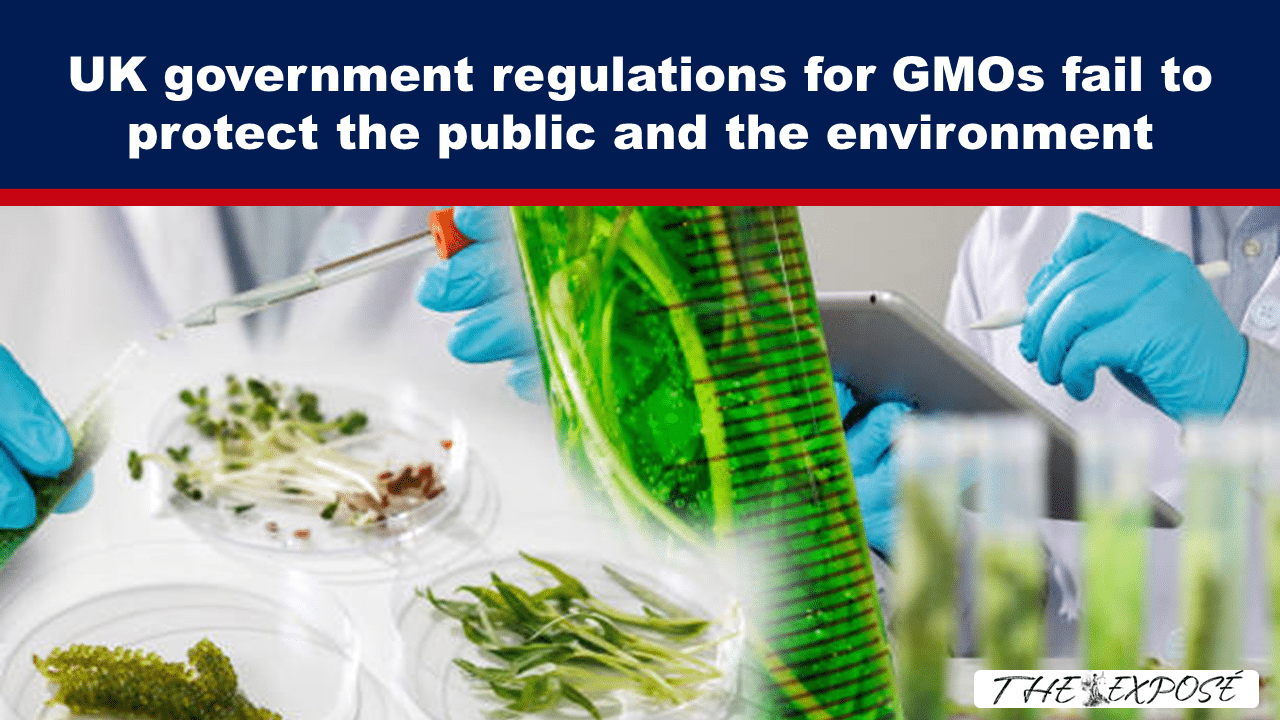 Banner headline about GMO regulations failing to protect the public and environment, over a lab scene with gloved hands handling plants.