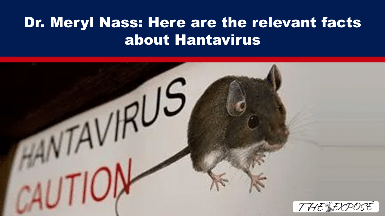 Headline about hantavirus with a mouse on a 'HANTAVIRUS CAUTION' sign beneath the banner title.