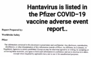 pfizer-hanta