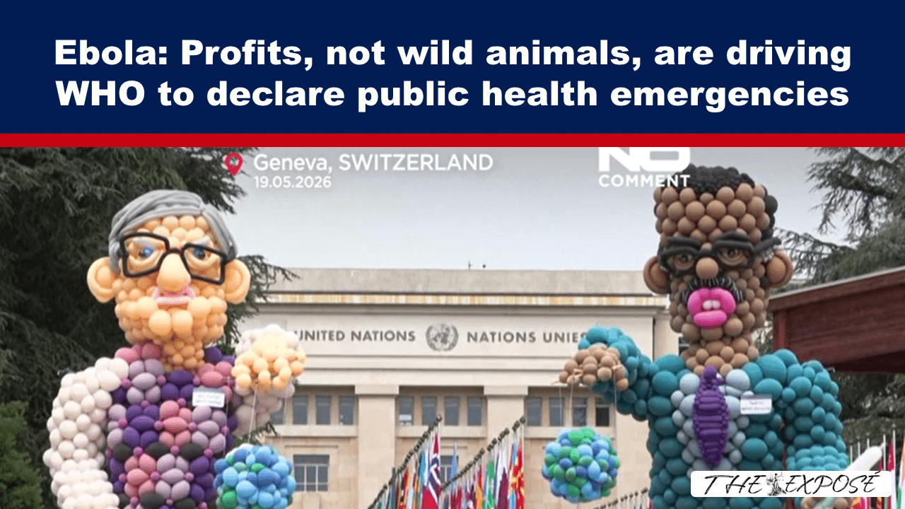 Ebola: Profits, not wild animals, are driving WHO to declare public health emergencies — photo showing the United Nations building in Geneva with balloon sculptures in the foreground.