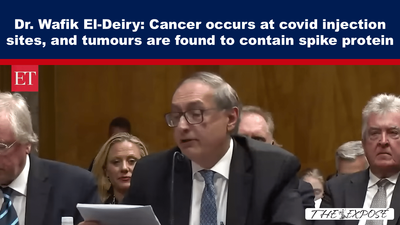 JunFeat24a - The Expose Television news screenshot of a man in a suit speaking at a hearing; headline reports cancer at covid injection sites and spike protein in tumors.