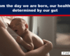 Newborn baby resting against a mother’s chest in warm light, peacefully sleeping in a caregiver’s arms, with a blue banner on top. Readable overlay about gut health.