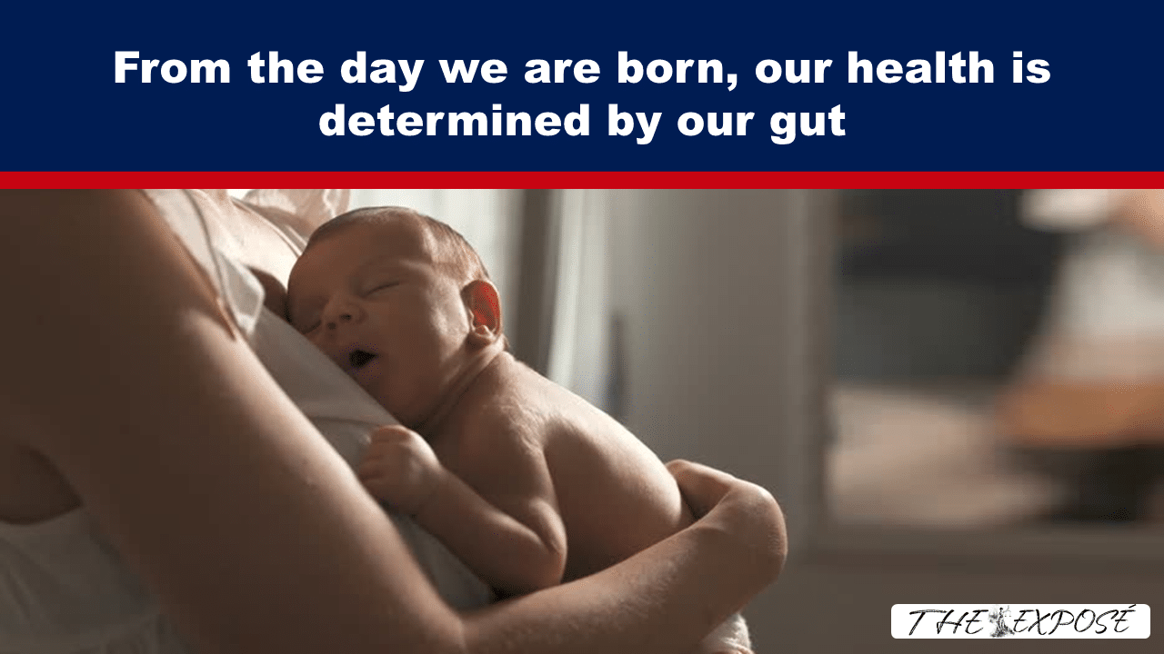 JunFeat8 - The Expose Newborn baby resting against a mother’s chest in warm light, peacefully sleeping in a caregiver’s arms, with a blue banner on top. Readable overlay about gut health.
