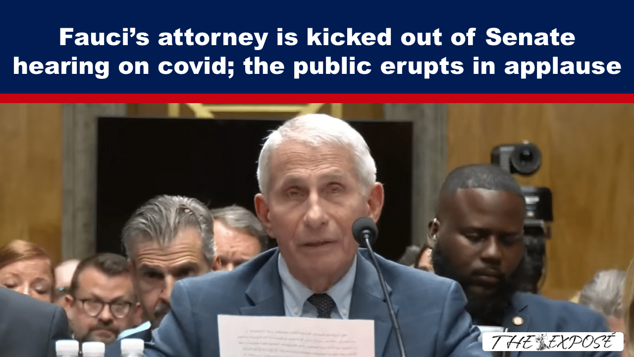 JulFeat30b - The Expose Speaker with white hair testifies at a Senate hearing; a bold headline banner about Fauci’s attorney sits above him.