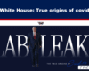 Banner thumbnail for an article: 'White House: True origins of covid' with a suited man walking in front of a large 'LAB LEAK' text and subtitle 'The true origins of Covid-19'.