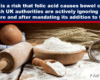 Blue banner with bold white text about folic acid risk above a baking scene with eggs, flour, a rolling pin, and wheat on a wooden table.