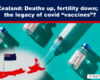 News thumbnail with a bold headline about New Zealand and vaccines, featuring syringe and vaccine vials around a map of New Zealand with a flag.